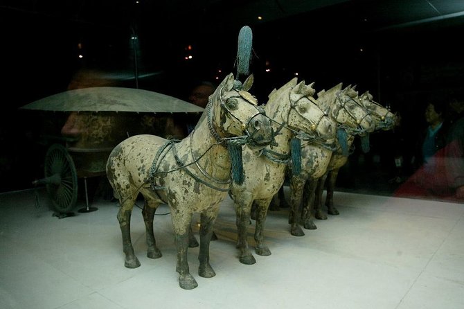 Private Xian Day Trip From Shanghai Including Domestic Flight