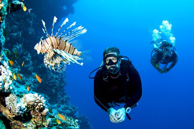Professional Scuba Diving Tour, Lunch & Transfer From El Gouna - Good To Know