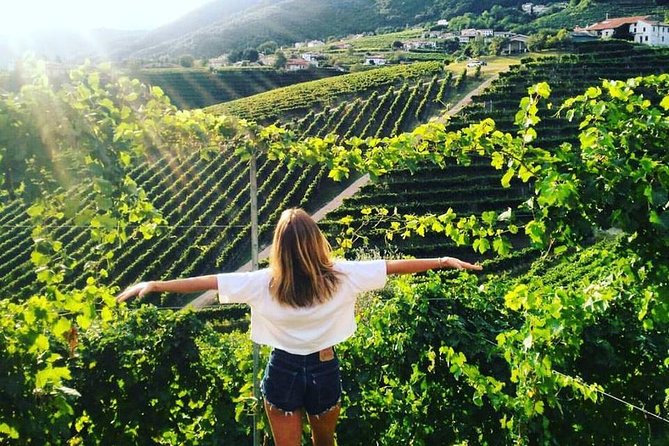 Prosecco Hills Hiking Tour and Wine Tasting - Good To Know