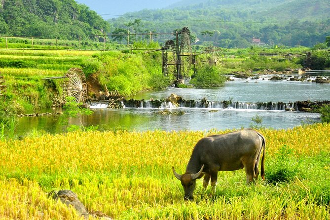 Pu Luong Nature Reserve 2 Days 1 Night Daily Depart From Hanoi - Good To Know