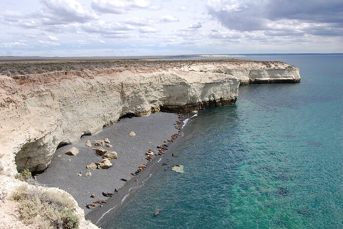 Puerto Madryn Private City Tour Including Punta Loma Sea Lions Reserve - Good To Know
