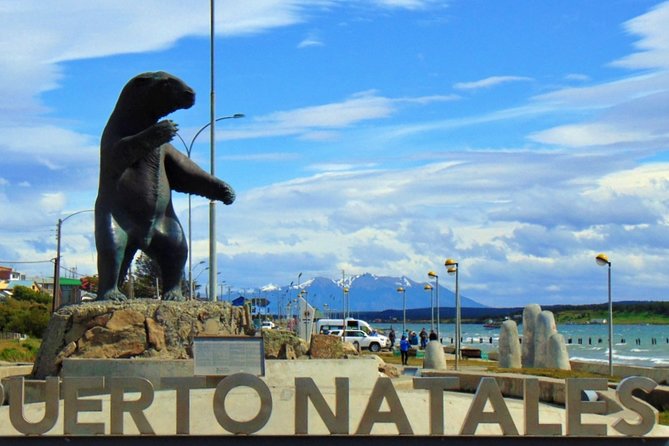 Puerto Natales: Bus Ticket to El Calafate, Argentina - Good To Know