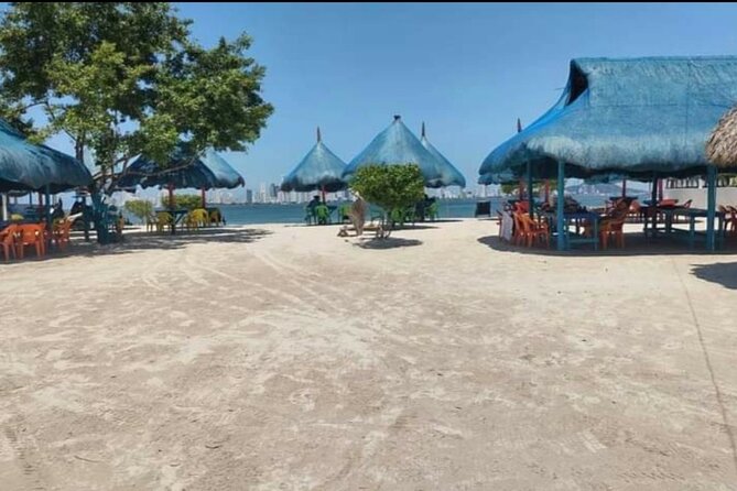 Punta Arena Island Day Tour