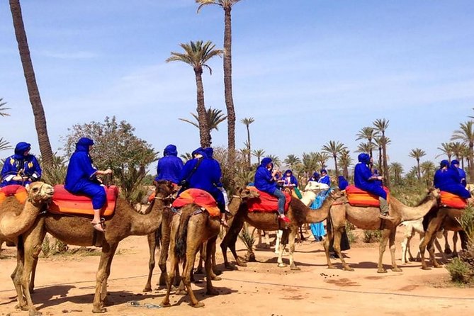 Quad Bike and Camel Ride in Marrakech Palmeraie - Good To Know