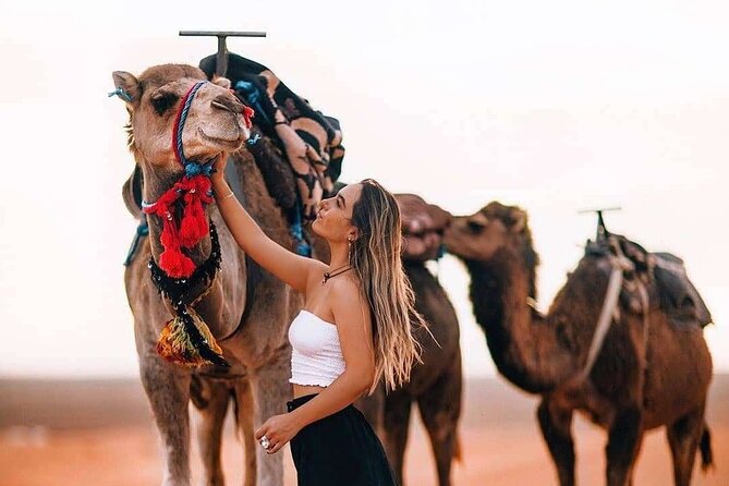 Quad Bikes & Camel Ride With Luxury Dinner in Agafay Desert - Good To Know
