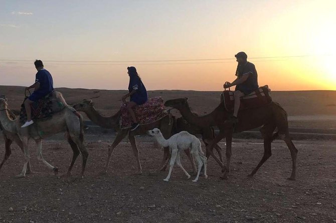 Quad Biking & Sunset Camel Ride Tour With Dinner At Marrakech Agafay Desert - Good To Know