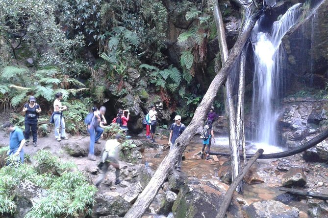 Quebrada Tour Delights Bogotá - Good To Know