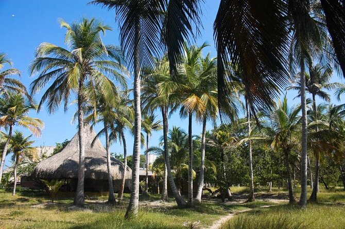 Quiet Beach VIP - Good To Know