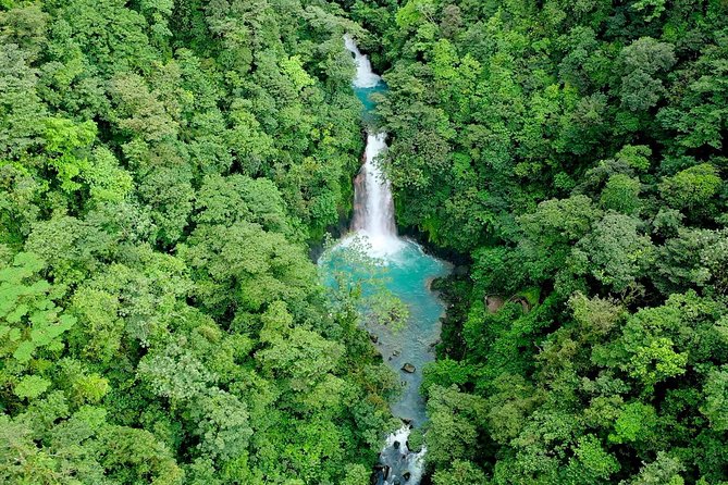 Rainforest Hiking, Sloth & Wild Life Sanctuary, Celeste Waterfall Private Tour - Good To Know