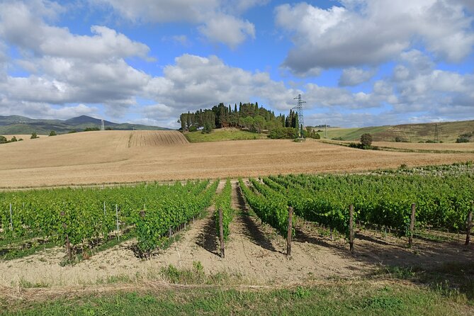 Ramble Through the Rolling Hills of Chianti With Lunch and 2 Wine Tastings - Good To Know