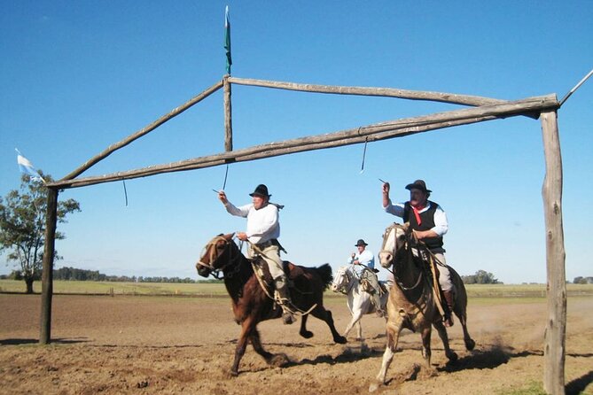 Ranch Trip With Private Driver - Good To Know