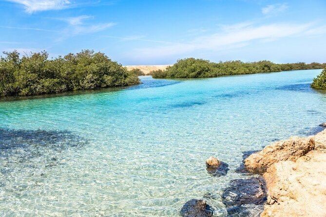Ras Mohamed Half-Day by Bus From Sharm El-Sheikh - Good To Know