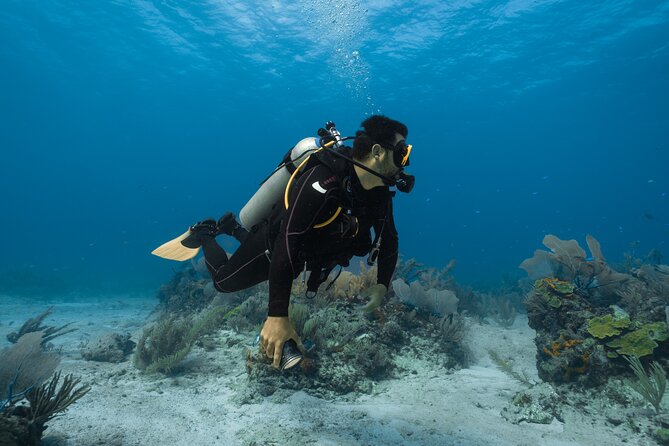 Ras Mohammed National Park With 1 Intro Dive - Sharm El-Shaikh - Inclusions