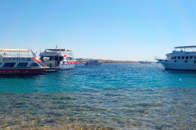 Ras Muhammed & White Island Snorkeling Boat Trip With Lunch - Sharm El Sheikh - Good To Know