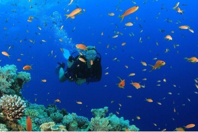 Red Sea Snorkeling - Good To Know