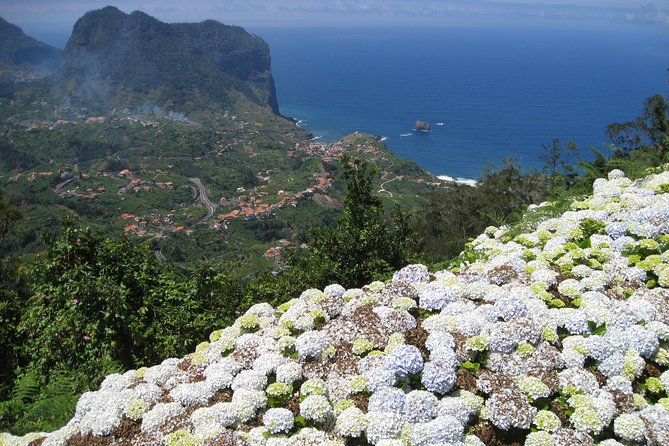 Referta / Castelejo 2-Hour Hike in the North Coast of Madeira - Good To Know