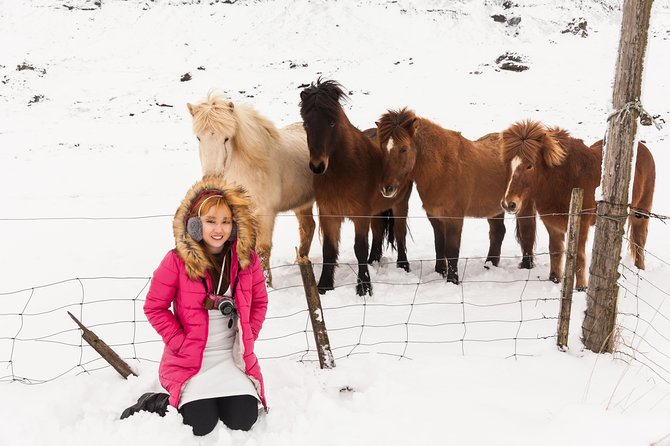 Reykjavik Instagram Photoshoot By Local Professionals - Good To Know