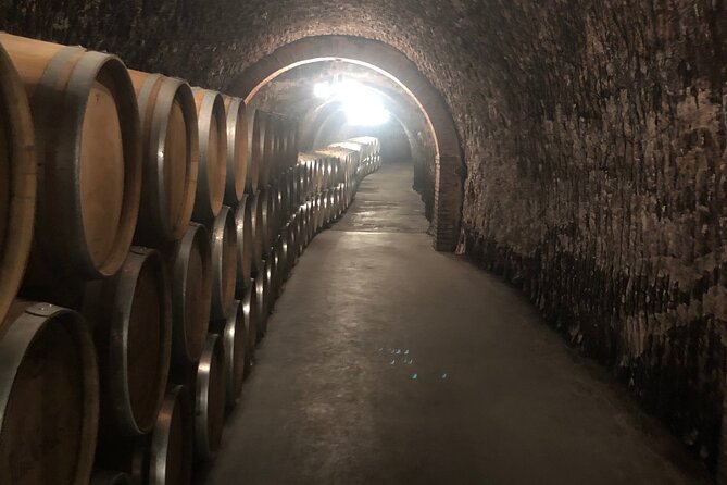 Ribera Del Duero From Madrid: Visit 2 Wineries With English Guide - Good To Know