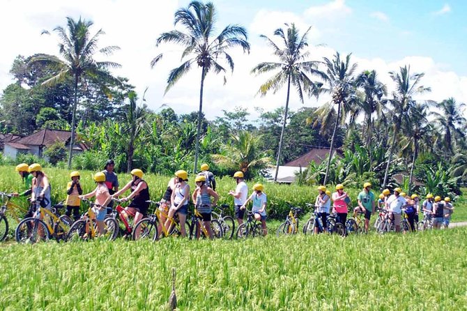 Rice Paddy Cycling Tour - Inclusions