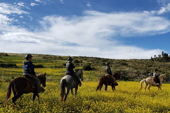 Ride Peruvian Paso Horses in Cusco - Overview of the Experience