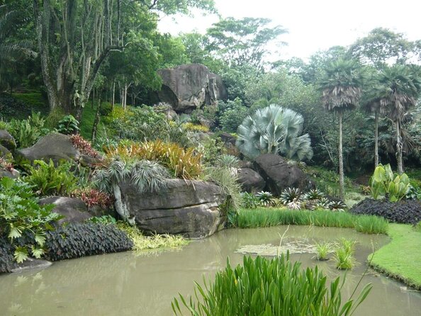 Rio: Sitio Burle Marx and Cachaça Distillery Private Tour - Good To Know