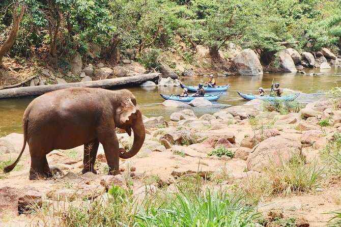 River Float Adventure - Good To Know