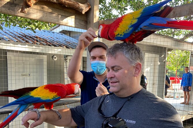 Roatan Excursion: ATV Adventure / Sloths and Monkey Hangout - Good To Know