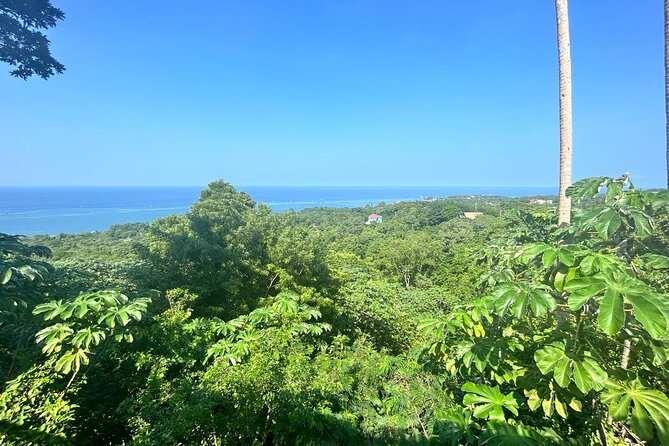 Roatan Island Westside Tour - Good To Know