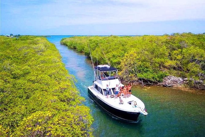 Roatan Private Northshore Snorkeling & Discover the Punta Gorda Village - 15 Pax - Tour Highlights