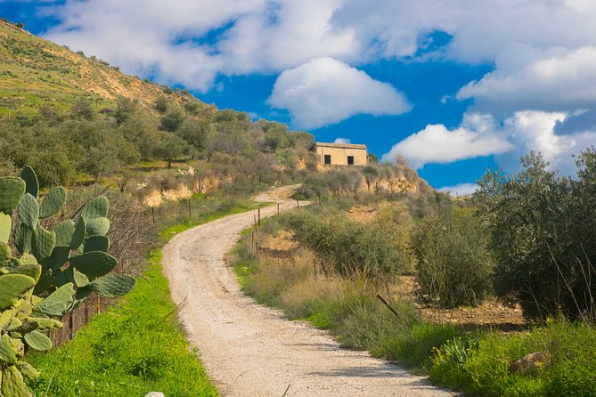 Romantic Tour In Irbid - Good To Know
