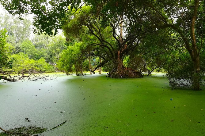 Romantic Tour in Ludhiana - Good To Know