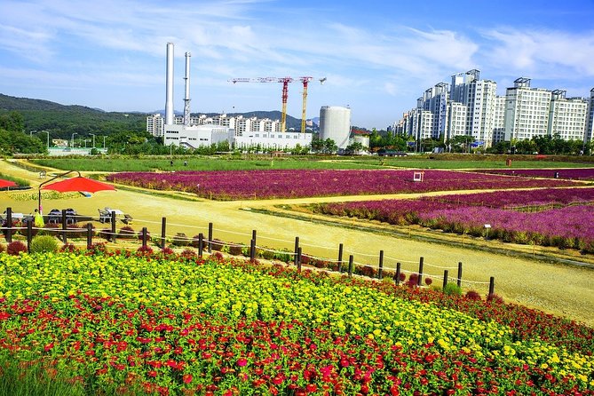 Romantic Tour in Yangzhou - Good To Know