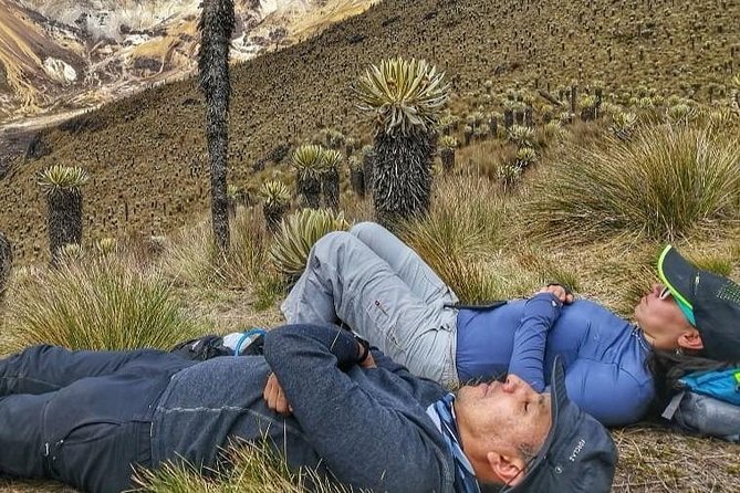 Romerales Paramo Tour Salento Quindio - Good To Know