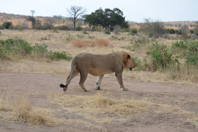 Ruaha National Park From Dar Es Salaam Flying Option 3 Days 2 Nights - Good To Know