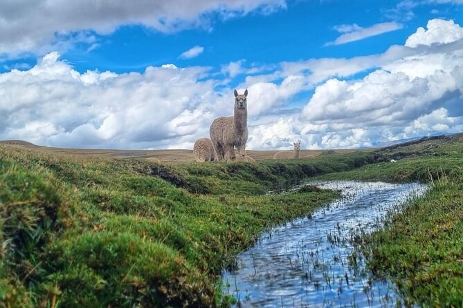 S.T.coffeetours - Good To Know