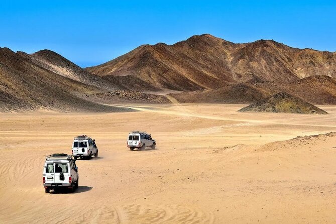 Safari Full Day Activity With Bedouin Dinner From Sharm