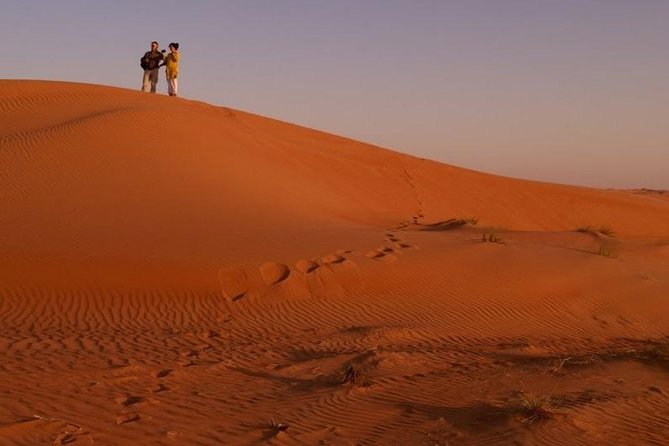 Safari to Sahara Desert With Riding Camel - Good To Know