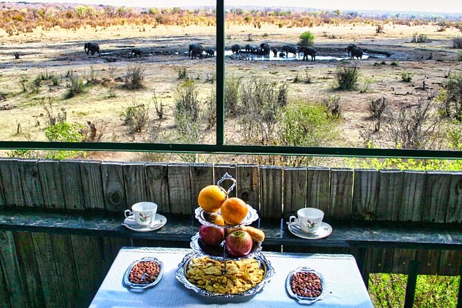 Safari With High Tea in Chamabondo National Park in 4x4 Jeep - Good To Know