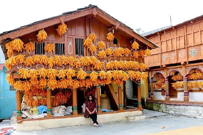 Sainji | Corn Village Tour - Good To Know