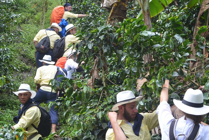 Salentina Immersion in the PCC Coffee Cultural Landscape - Good To Know