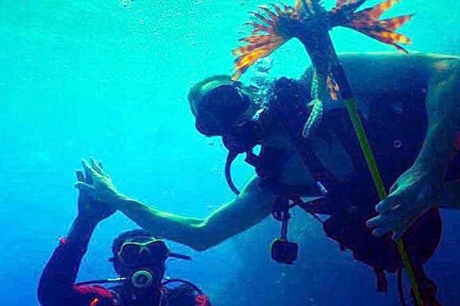 Scuba Diving Sustainable Lion Fish Spearfishing - Good To Know