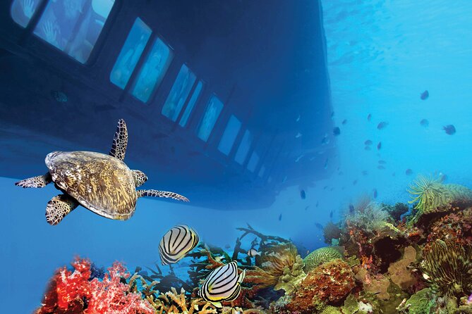 Sea Scope Experience From Marsa Alam - Good To Know