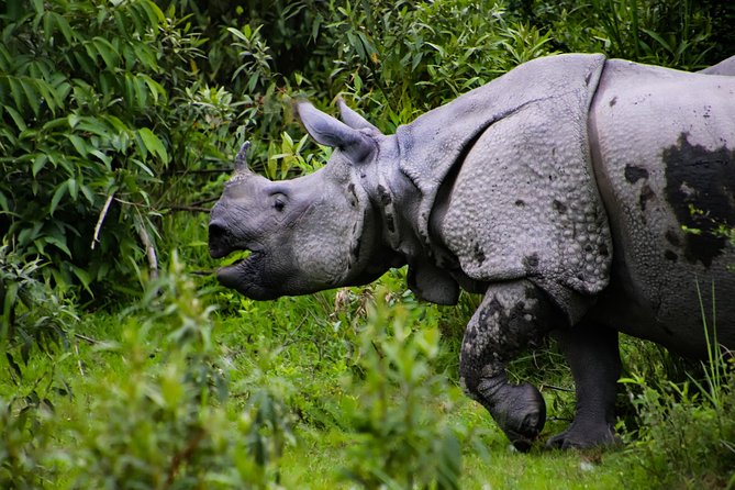 Secrets of Indias North East Revealed - Good To Know