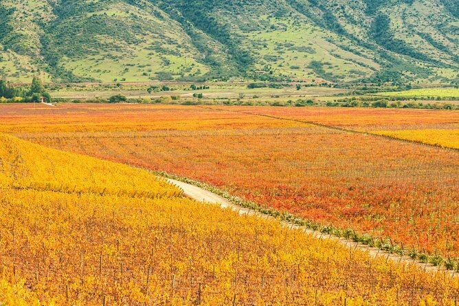 Self Drive Experience in Colchagua Valley, 4 Days - Good To Know