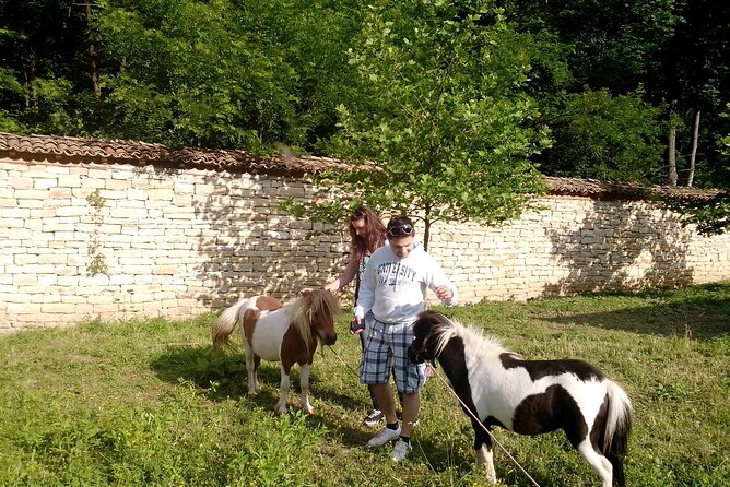 Self-Guided Elena Sights & Attractions - Good To Know