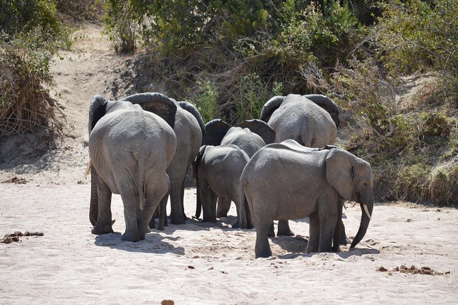 Selous Game Reserve From Morogoro 2 Days 1 Night Road Trip - Good To Know