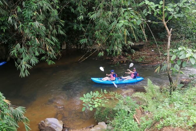 Semenggoh Orangutan With Rainforest Kayaking From Kuching - Good To Know