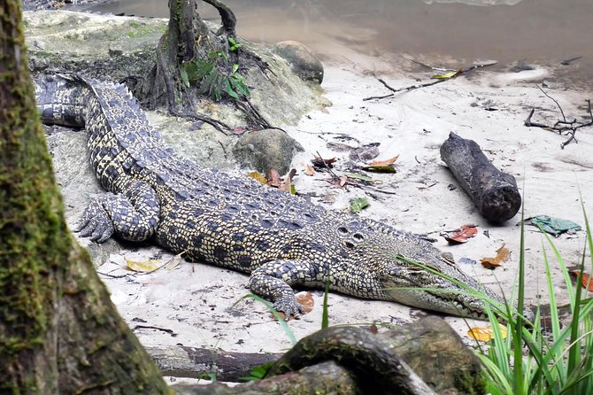 Semenggok Wildlife Centre - Cancellation Policy