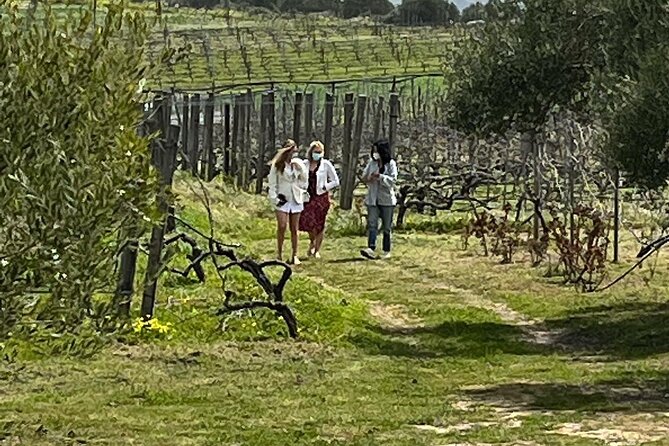 Semi-Private Wine Tour of 2 Wineries With Wine Tastings - Good To Know