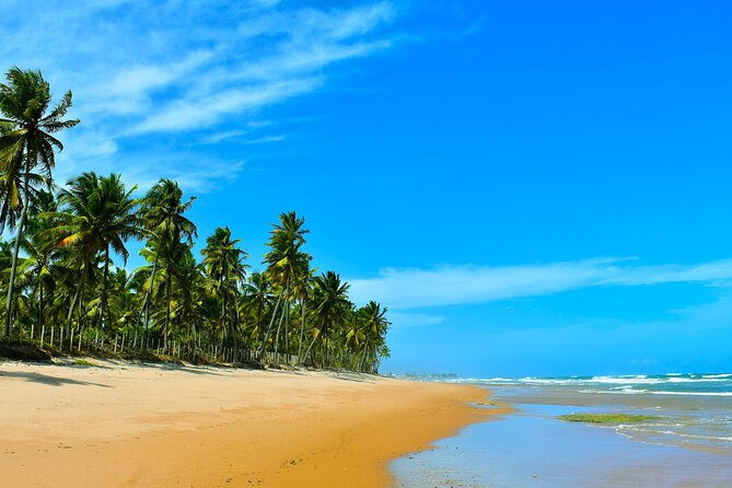Serenity Shore Stroll Jauá Beach, Visit a Hidden Gem. - Good To Know
